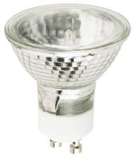 Flood Bulbs