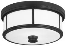  4365-66A - Harbour Point - 2 Light Ceiling Light