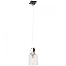  52035PN - Pendant 1Lt