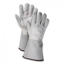 Gloves and Hand Protection