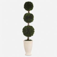 Uttermost 60223 - Uttermost Preserved Boxwood Triple Topiary