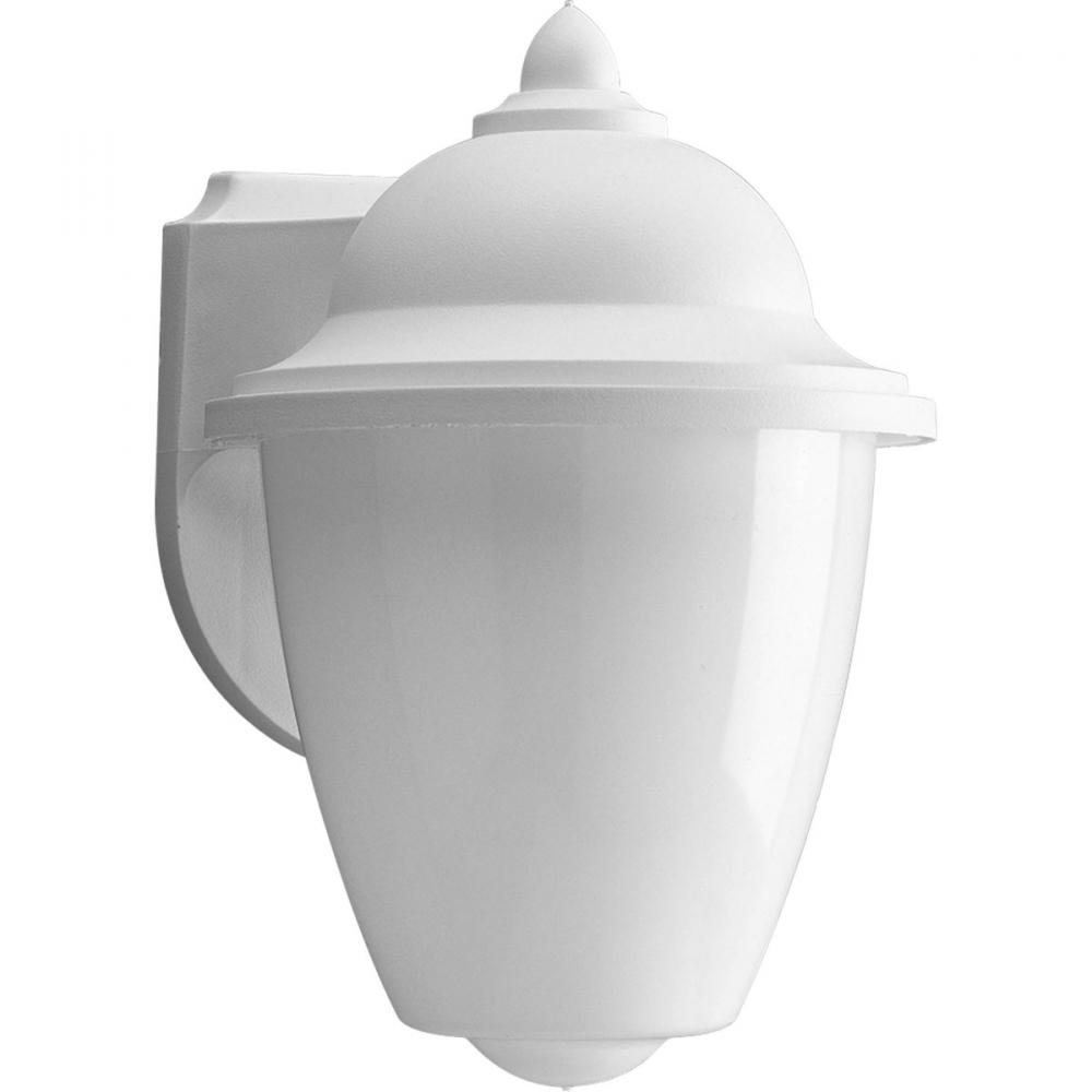 Non-Metallic Incandescent One-Light Outdoor Wall Lantern