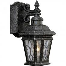  P5661-71 - One Light Gilded Iron Water Seeded Glass Wall Lantern