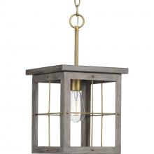 Progress P500317-175 - Hedgerow Collection One-Light Distressed Brass and Aged Oak Farmhouse Style Hanging Mini-Pendant Lig