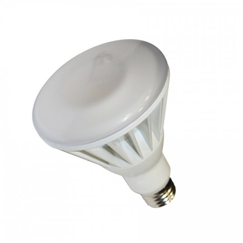 BR LED Lamp