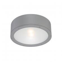  FM-W2612-GH - TUBE Outdoor Flush Mount Light