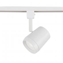  H-7030-CS-WT - Ocularc 7030 - 5CCT Track Luminaire