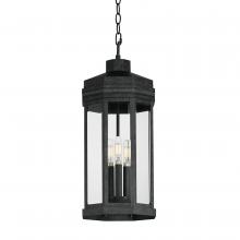  30229CLBKP - Wright-Outdoor Pendant