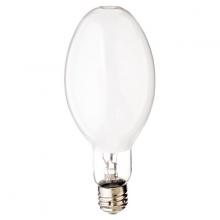 Light Bulbs