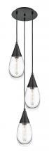  113-450-1P-BK-G450-6CL - Malone - 3 Light - 14 inch - Matte Black - Multi Pendant