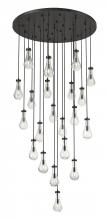 Innovations Lighting 148BK-451-1P-BK-G451-5CL-20 - Owego - 21 Light - 48 inch - Matte Black - Multi Pendant