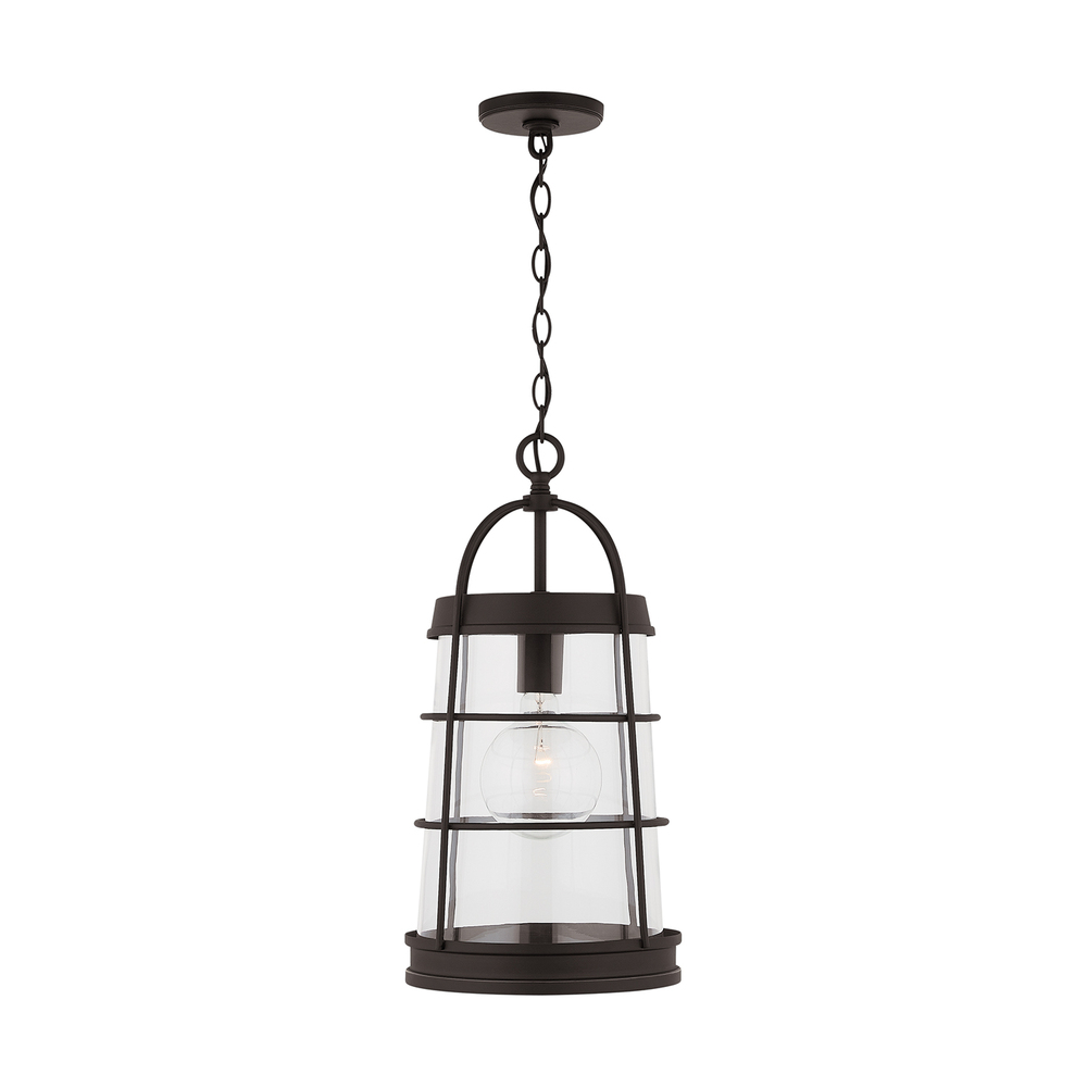 Outdoor 1-Light Outdoor Hanging Lantern