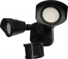 Security Lights