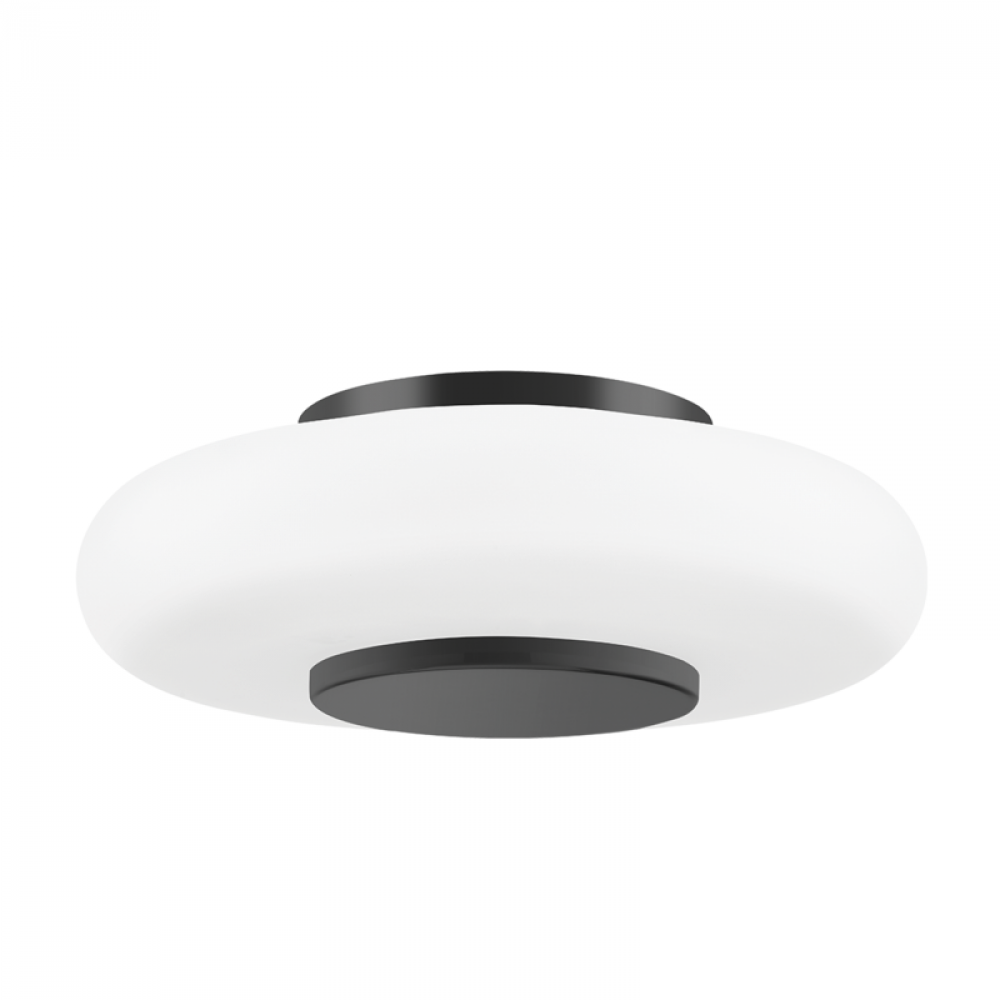 1 LIGHT FLUSH MOUNT