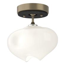 Hubbardton Forge 121372-SKT-84-10-FD0710 - Ume 1-Light Semi-Flush