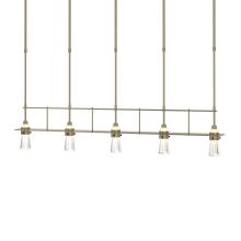  137725-SKT-SHRT-84-ZM0343 - Erlenmeyer 5 Light Pendant