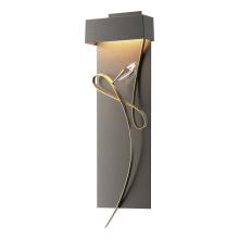  205440-LED-07-84-CR - Rhapsody LED Sconce