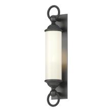 Hubbardton Forge 303080-SKT-80-GG0034 - Cavo Large Outdoor Wall Sconce