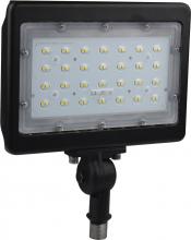 Nuvo 65/538 - LED 50W LARGE FLOOD LIGHT