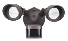 Security Lights