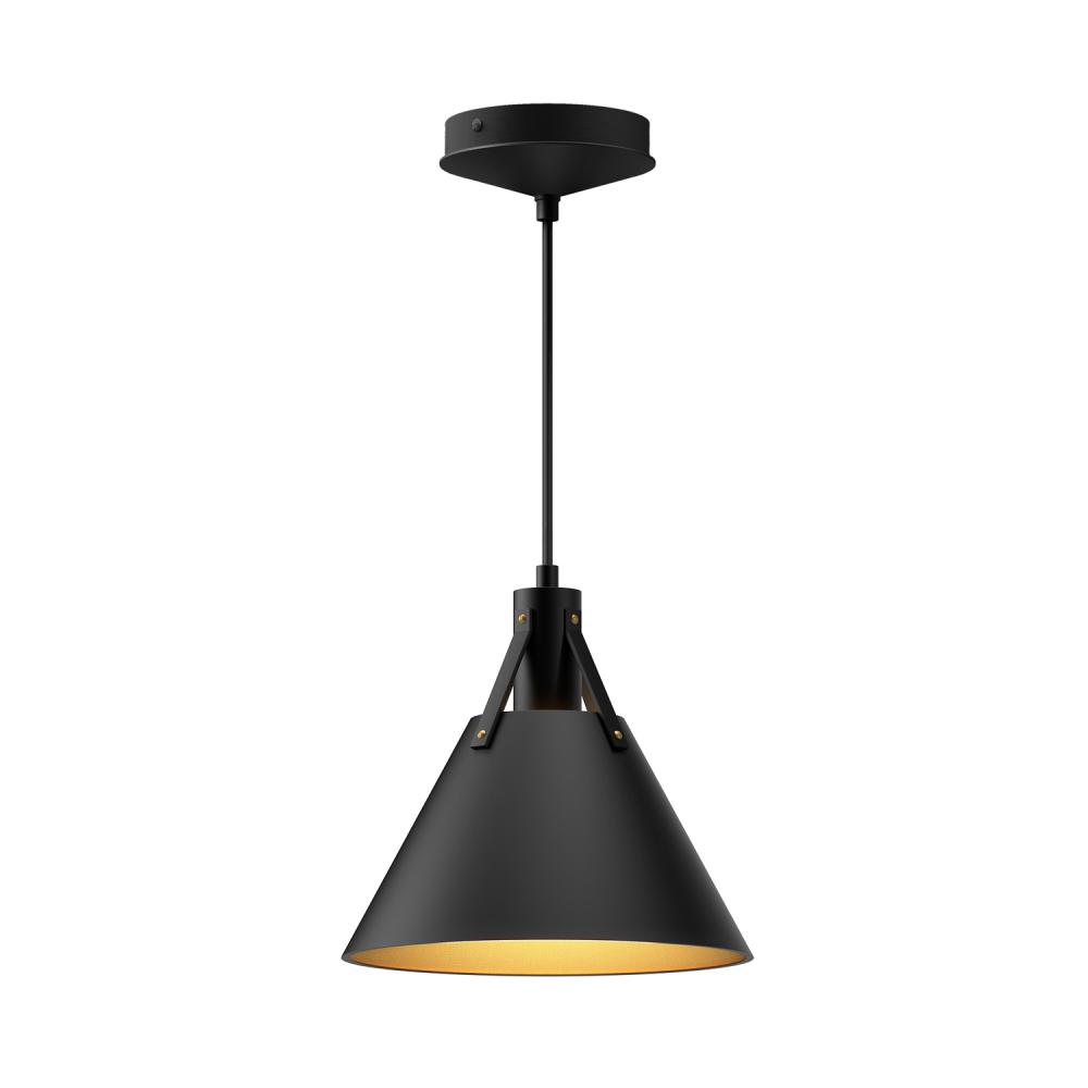 Archer 10-in Matte Black 1 Light Pendant