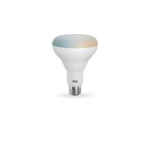 LED Bulbs