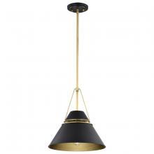 Nuvo 60/7766 - Adina 1 Light Medium Pendant; Matte Black and Natural Brass Finish