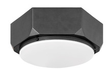 Hinkley 4581BGR - Small Flush Mount