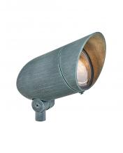 ACCENT SPOT LIGHT